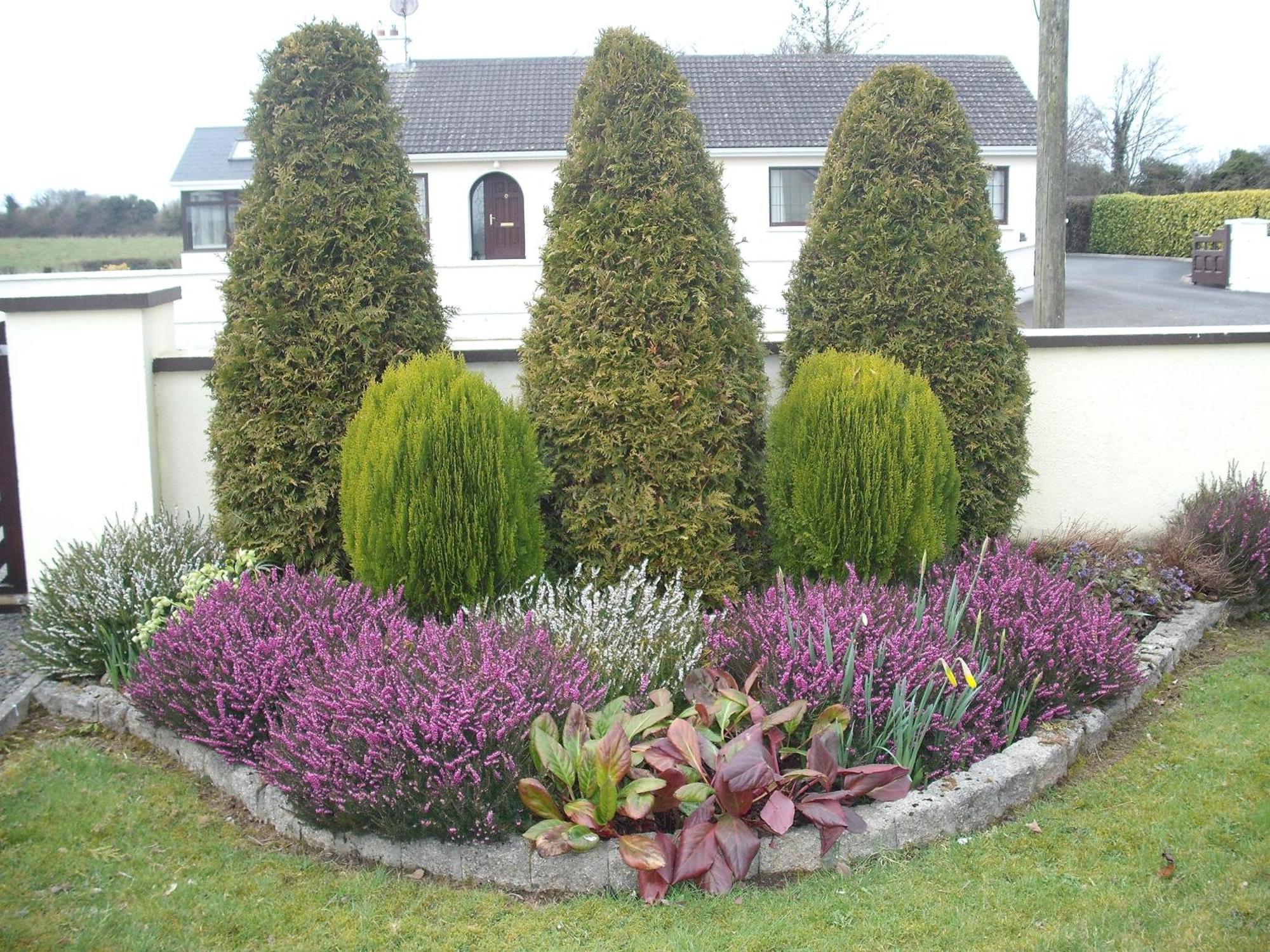 Maryville Bed And Breakfast Nenagh Dış mekan fotoğraf